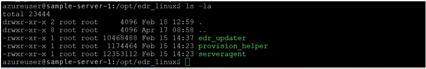 Linux server terminal showing the extracted agent files