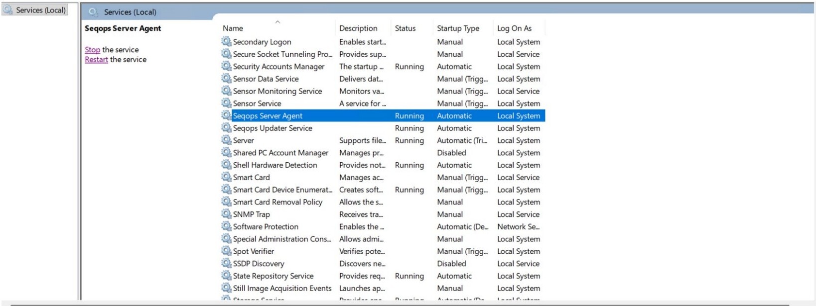 Windows Services console showing Seqops Server Agent and Seqops Updater Service running